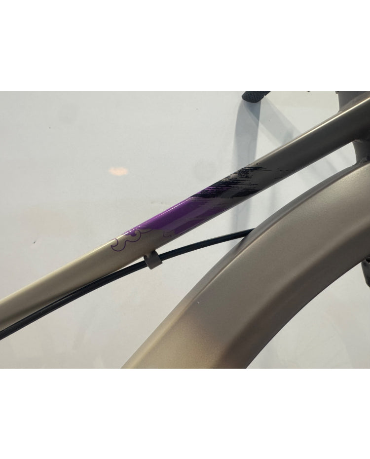Grey Purple Front Shock Bicycle