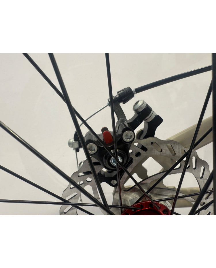 Grey Purple Front Shock Bicycle