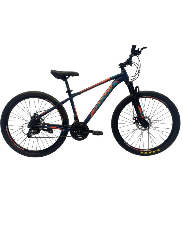 Blue Orange Bicycle – Sporty Design, Smooth Performance