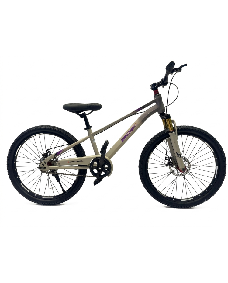 Grey Purple Front Shock Bicycle