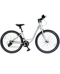 1.0 Hybrid Bicycle – Comfort & Performance