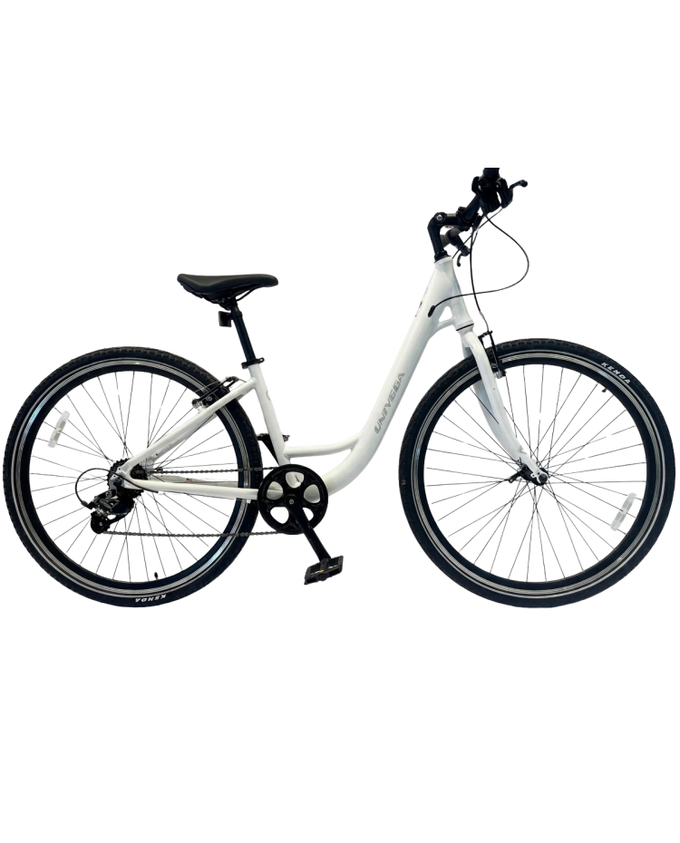1.0 Hybrid Bicycle – Comfort & Performance